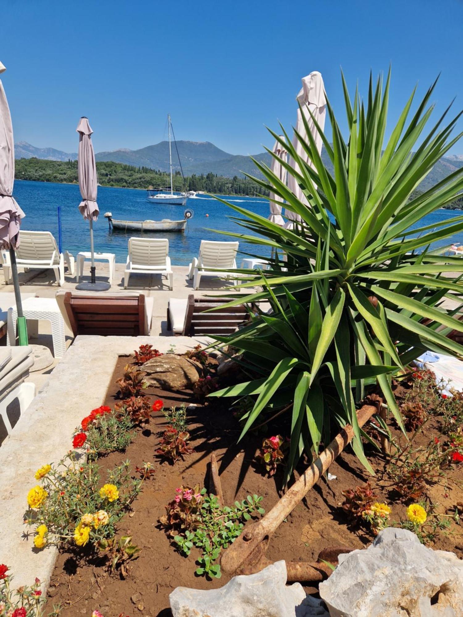 Franovic Apartments Tivat Exteriör bild